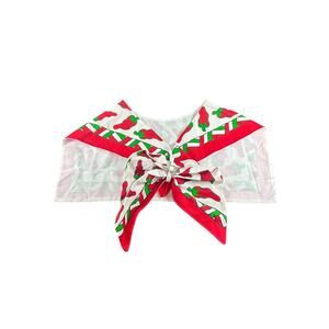 Southwestern- Red chili pepper- Rave Festival Beaded Scarf Cape Texas